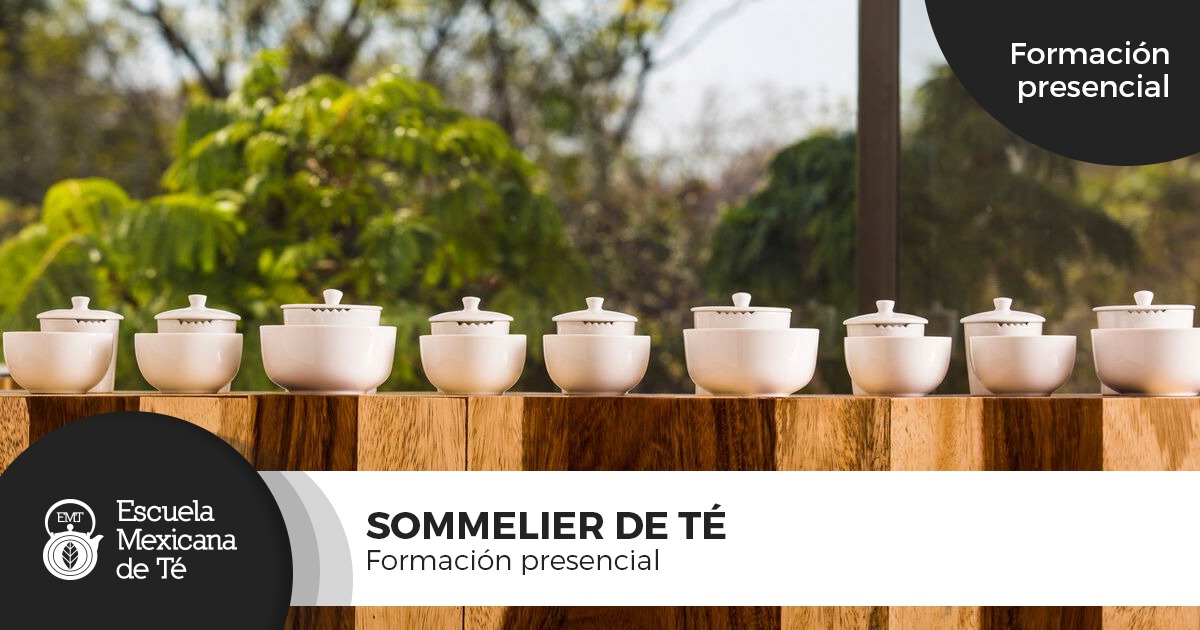 sommelier-presencial-2019.jpg